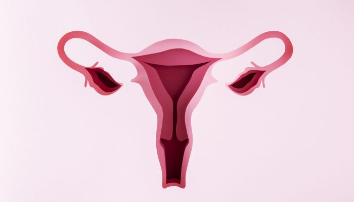 still-life-fertility-concept-top-view